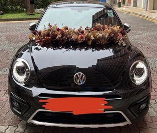 (Category: ) located in . Submitted by offthebeatenpath (Listing ID 1209283975, Image 1). Description: .