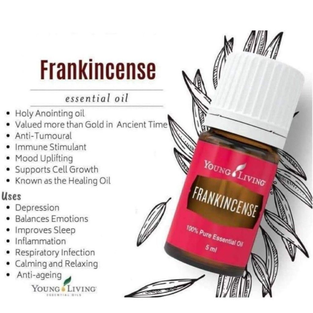 YOUNG LIVING ESSENTIAL OIL FRANKINCENSE Beauty Personal Care