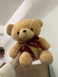 小熊娃娃
