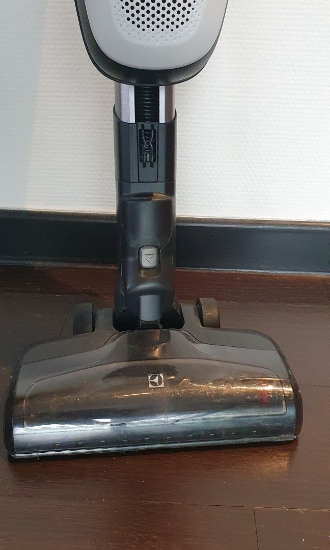 Electrolux Cordless Vacuum Cleaner (Pure F9), TV & Home Appliances