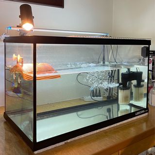 (Category: ) located in . Submitted by anthan (Listing ID 1209446648, Image 1). Description: .