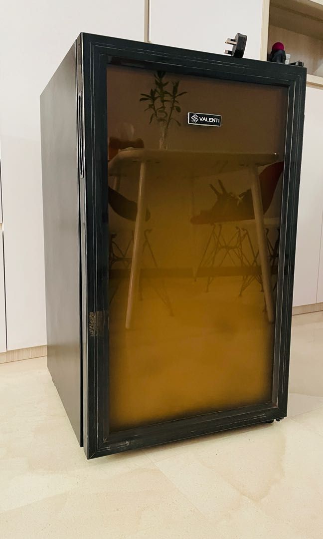 Fridge and wine chiller, TV & Home Appliances, Kitchen Appliances