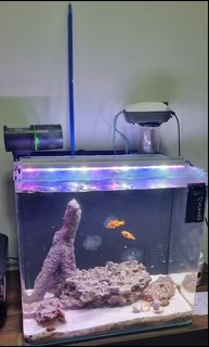 (Category: ) located in . Submitted by Elektroman (Listing ID 1209586727, Image 1). Description: .