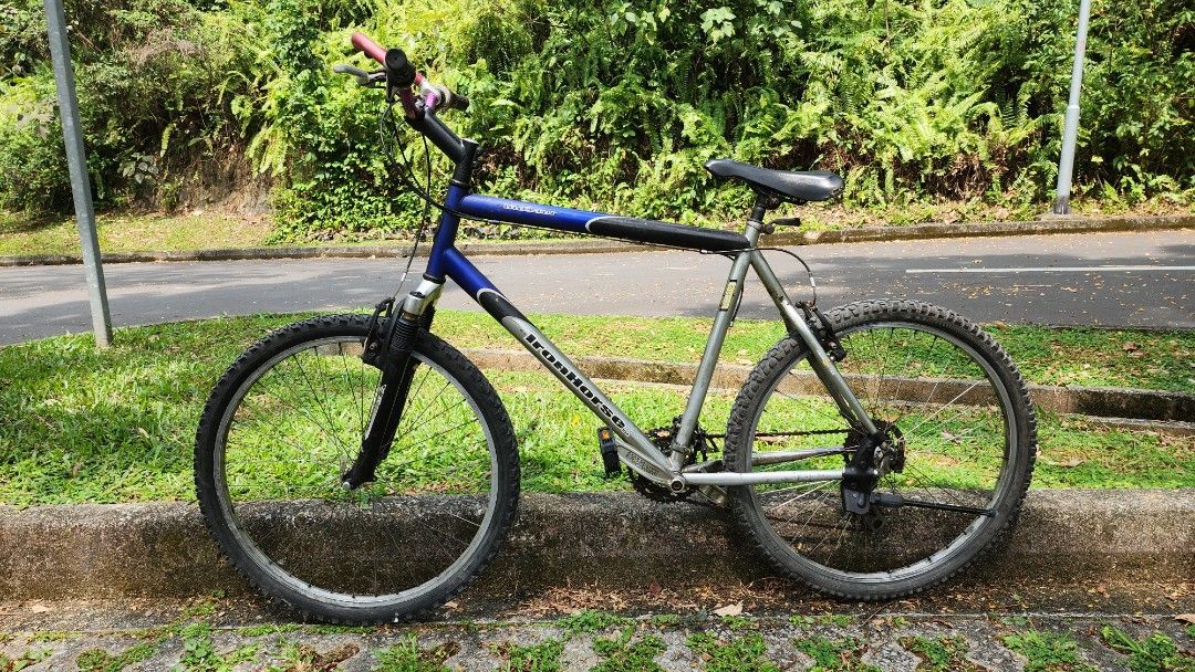 Ironhorse outlaw mountain bike price online