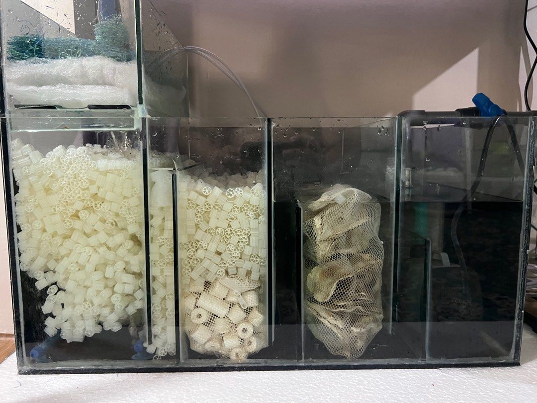 K1 Media Filter Aquarium, Pet Supplies, Homes & Other Pet Accessories