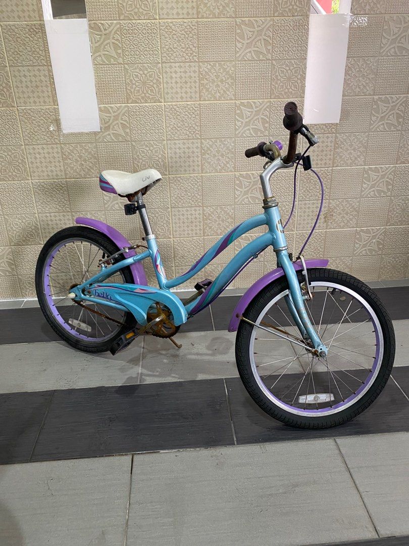 Giant bella sales 20 inch bike