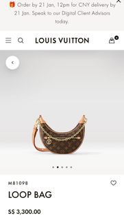 Fascinee LV Loop Hobo Inner Bag Organiser, Luxury, Bags & Wallets on  Carousell