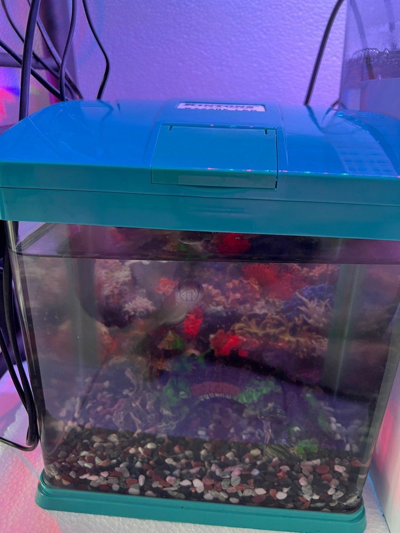Petcetera fish tank discount