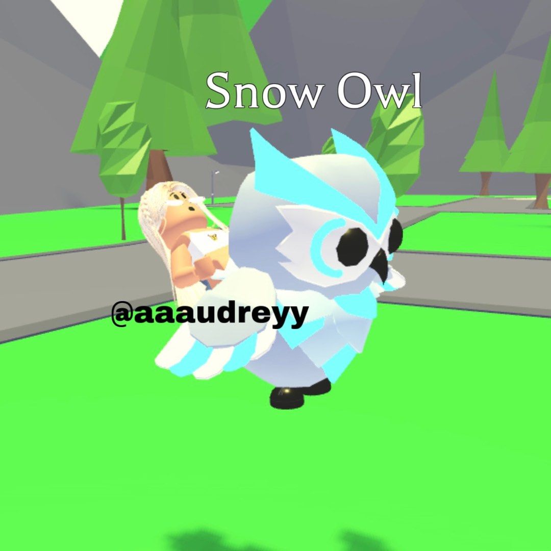 NFR Snow Owl Adopt Me, Video Gaming, Gaming Accessories, InGame