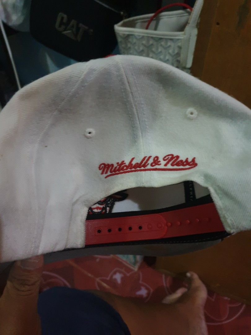 retro bulls