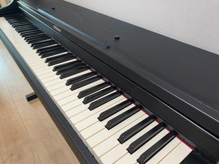 （分類：）位於 。 由 can_chan2021 提交（商品編號 1209475592，圖片 1）。簡介： 。