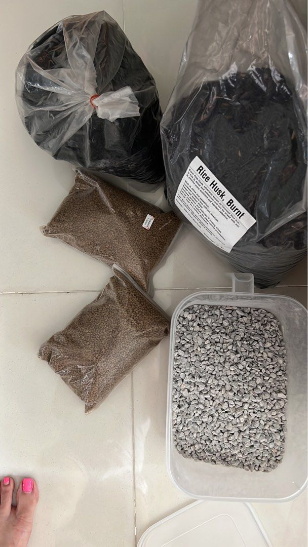Soil for Terrariums, Everything Else on Carousell