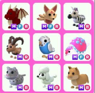 Cute pet names for any adopt me pet!🤩⚡️💘 in 2023