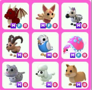 (Category: ) located in . Submitted by blosoms (Listing ID 1209505397, Image 1). Description: .