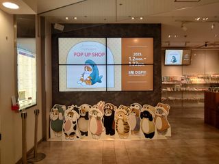 （分類：）位於 。 由 winnie1241 提交（商品編號 1209623739，圖片 1）。簡介： 。