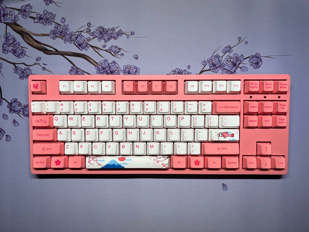 akko 3087 v2 mechanical keyboard, Computers & Tech, Parts & Accessories ...