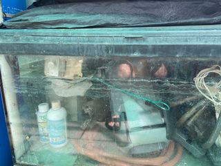 (Category: ) located in . Submitted by happy_plants (Listing ID 1209713621, Image 1). Description: .