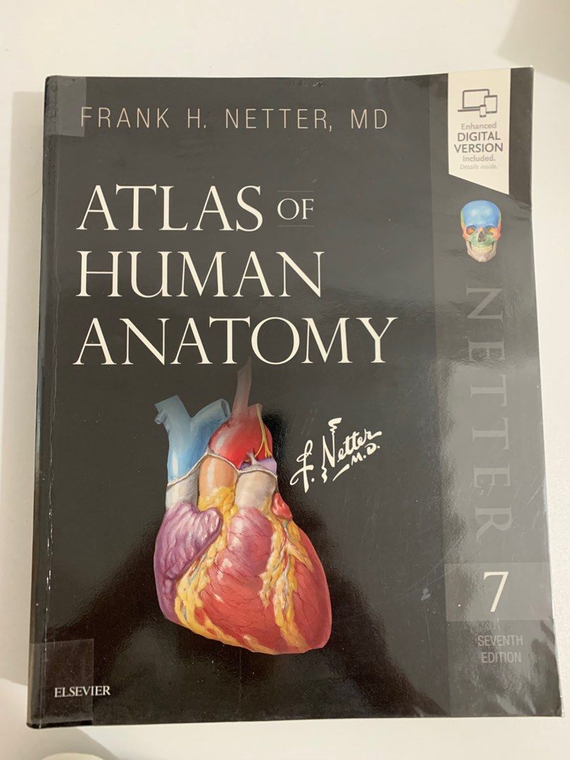 Atlas of human anatomy frank h netter 7th edition hobbies toys