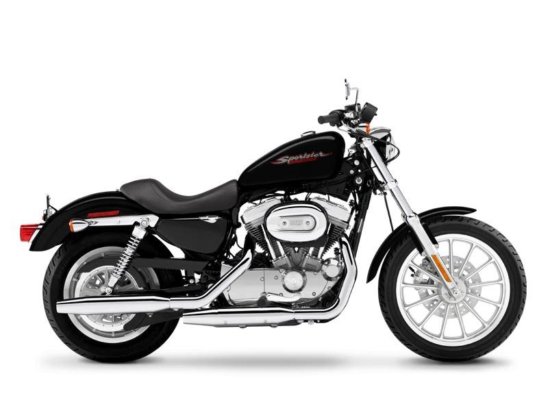 Cheap sportster outlet