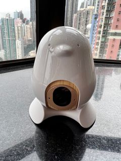 （分類：）位於 。 由 joncwt 提交（商品編號 1209715473，圖片 1）。簡介： 。