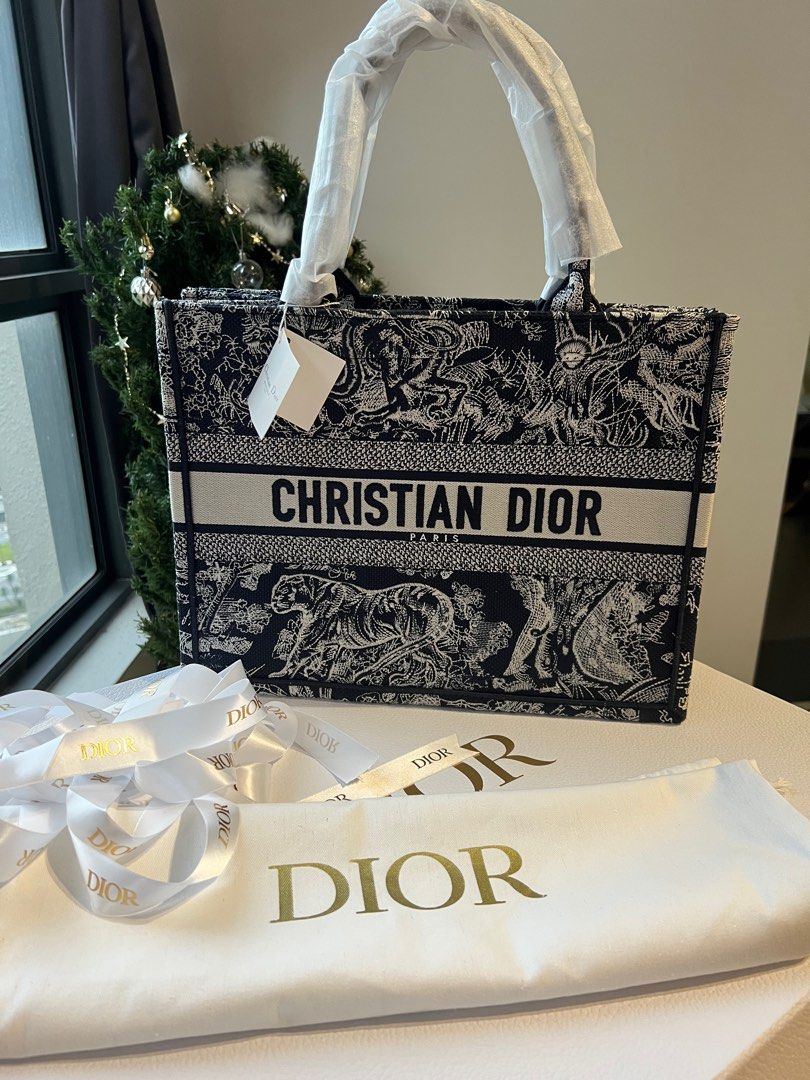 Italian Counterfeit Decision Protects Dior Book Tote and Stripe  WWD
