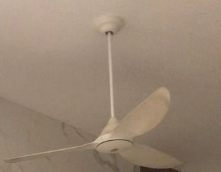(Category: ) located in . Submitted by ck_pearl (Listing ID 1209834046, Image 1). Description: .