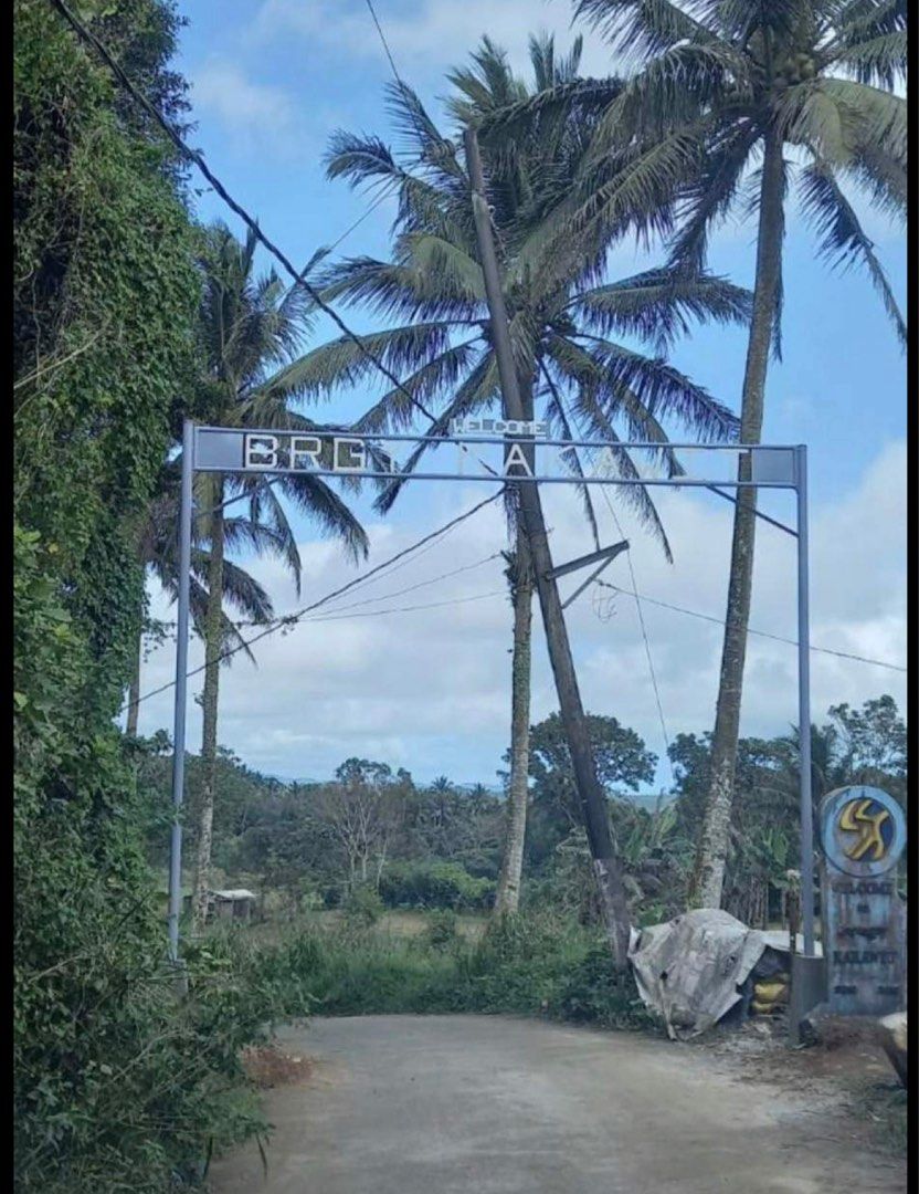 Farm lot Kakawit Lucban Quezon, Property, For Sale, Lot on Carousell