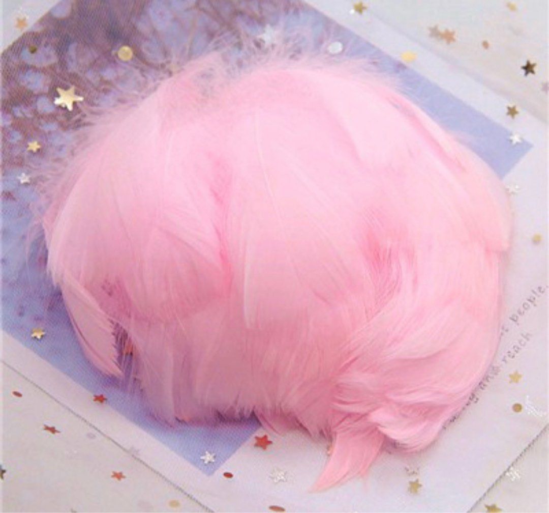 Feathers plume for craft (take all) (Category: Craft Supplies & Tools) located in Quezon City. Submitted by ava_ghail (Listing ID 1209786341, Image 2). Description: Feathers for take all only Macaron mix Pink Light Brown .