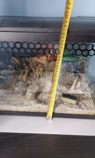 (Category: ) located in . Submitted by mib05 (Listing ID 1209692408, Image 1). Description: .
