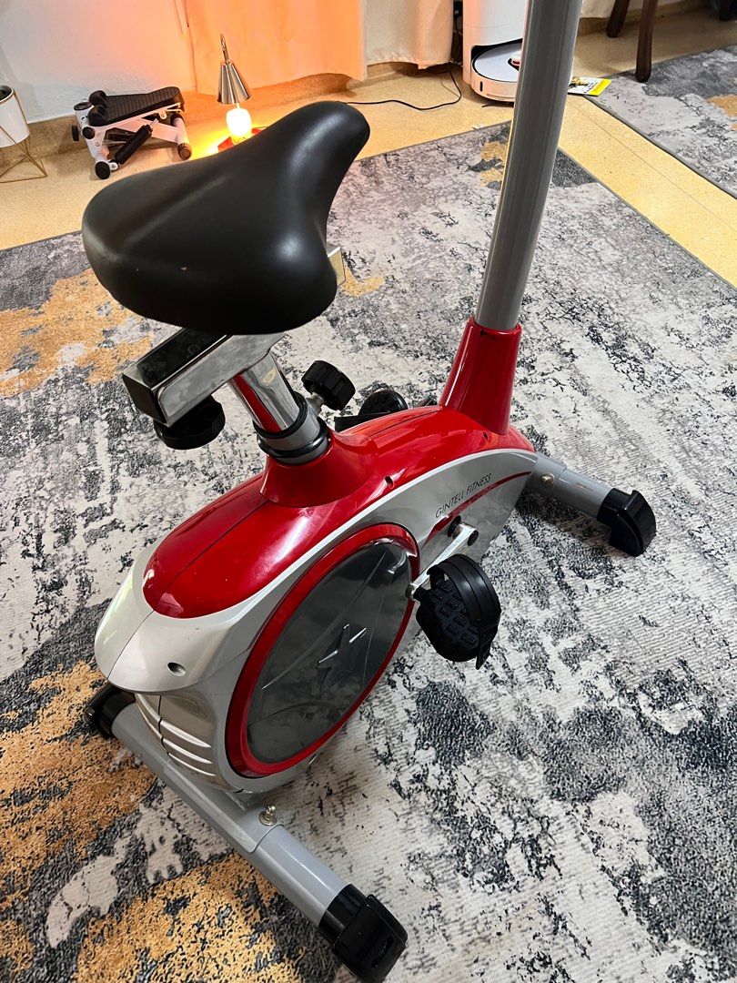 GINTELL Magnetic Fitness Bike