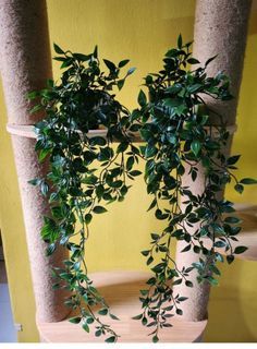 IKEA FEJKA artificial plant