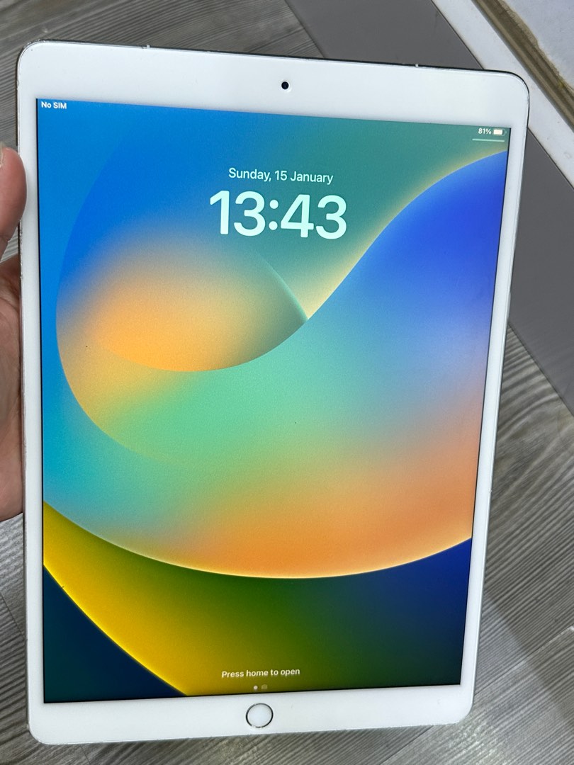 APPLE iPad Pro IPAD PRO 10.5 WI-FI 512G…是非お気軽にコメント ...
