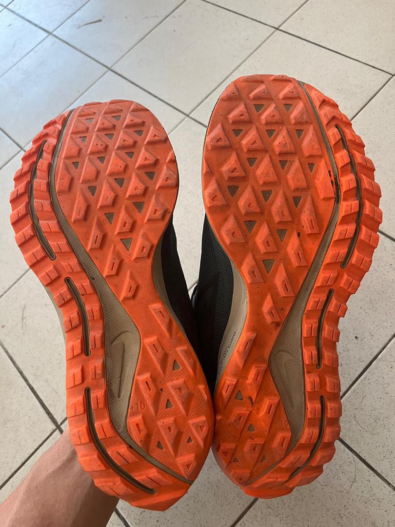 pegasus 36 trail goretex