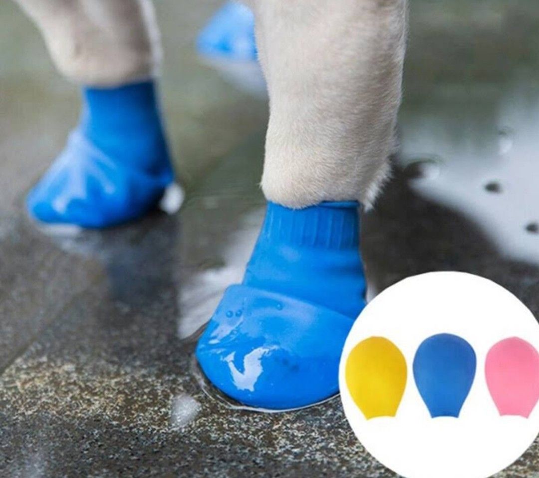 PawZ Medium Rubber Boots, Pet Supplies, Homes & Other Pet Accessories