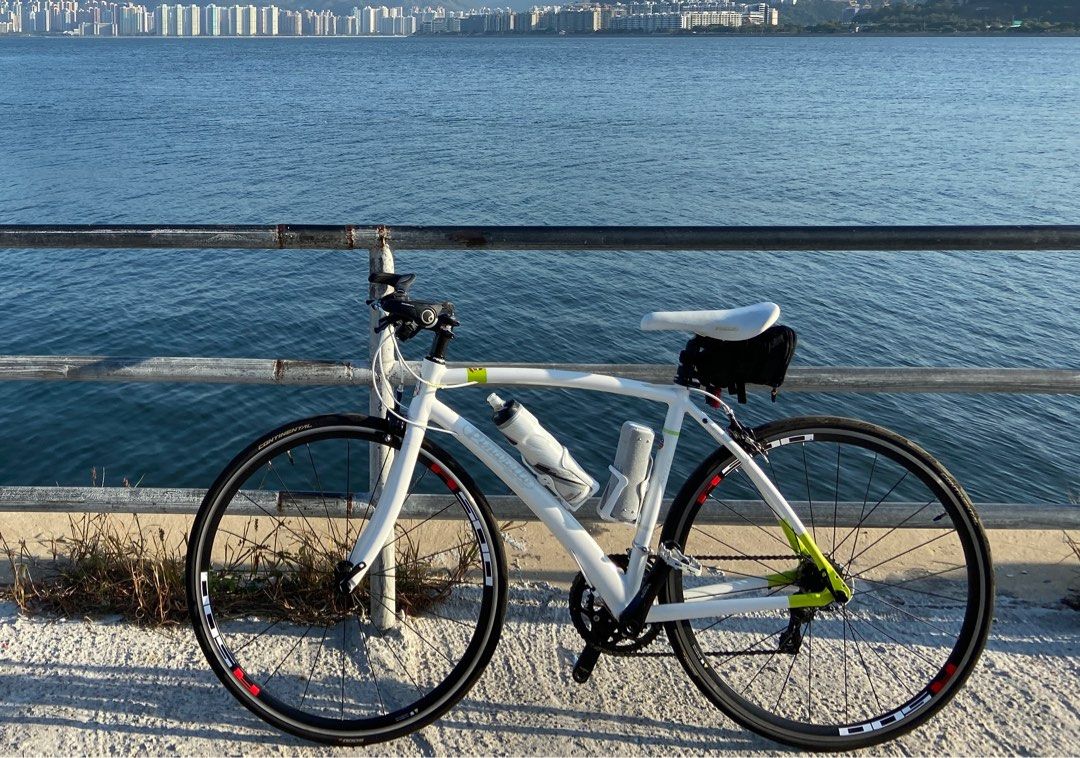 PINARELLO ピナレロ トレビソ 　2012 PINARELLO ピナレロ トレビソ 2012
