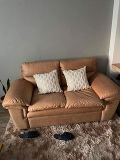 Super comfy 2-seater couch