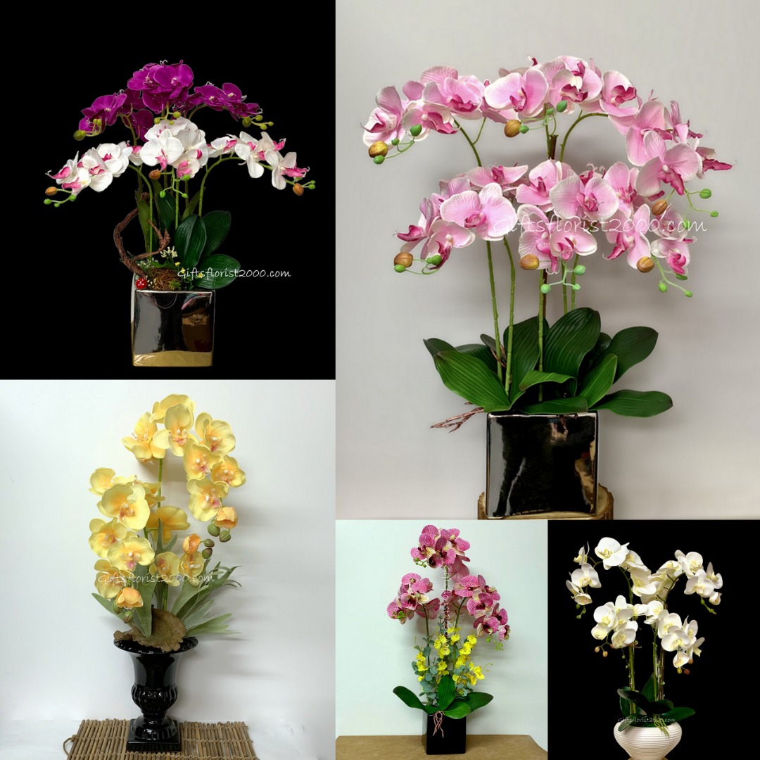 2024 New Edition Silk Flowers Orchid For All OccasionsGrand Opening