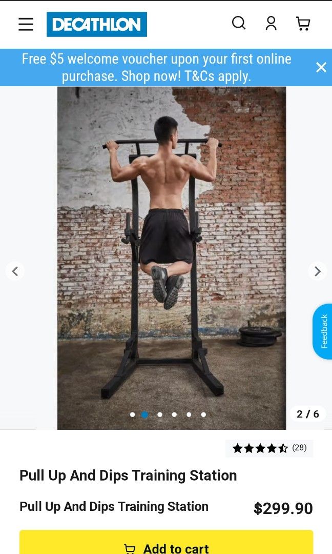 Decathlon Pull Up And Dips Training Station, Sports Equipment, Exercise