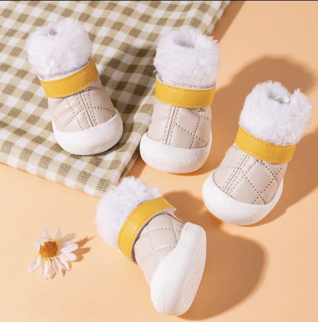 Puppy sales dog shoes