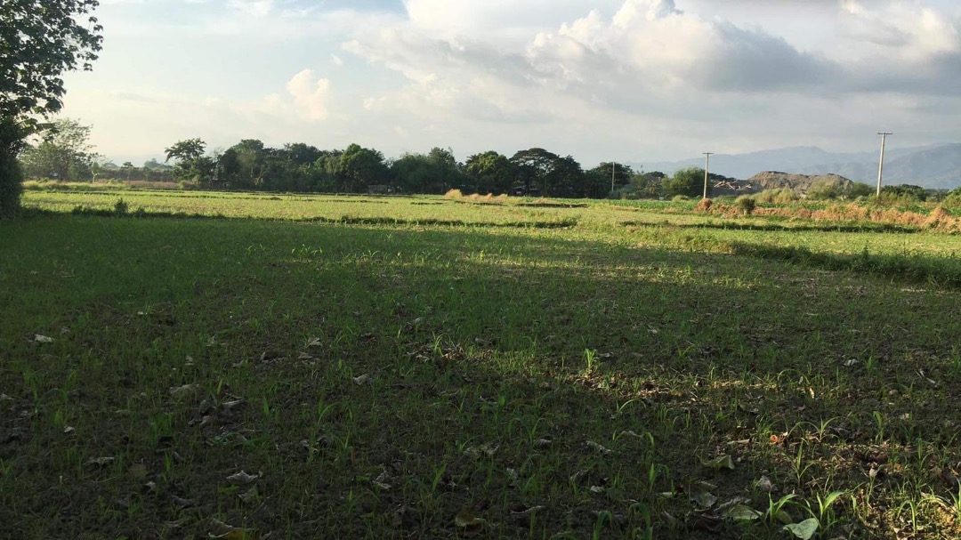Agri Land for Sale in San Nicolas Pangasinan, Property, For Sale, Lot