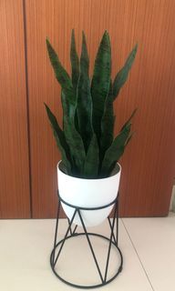 Artificial plant full set