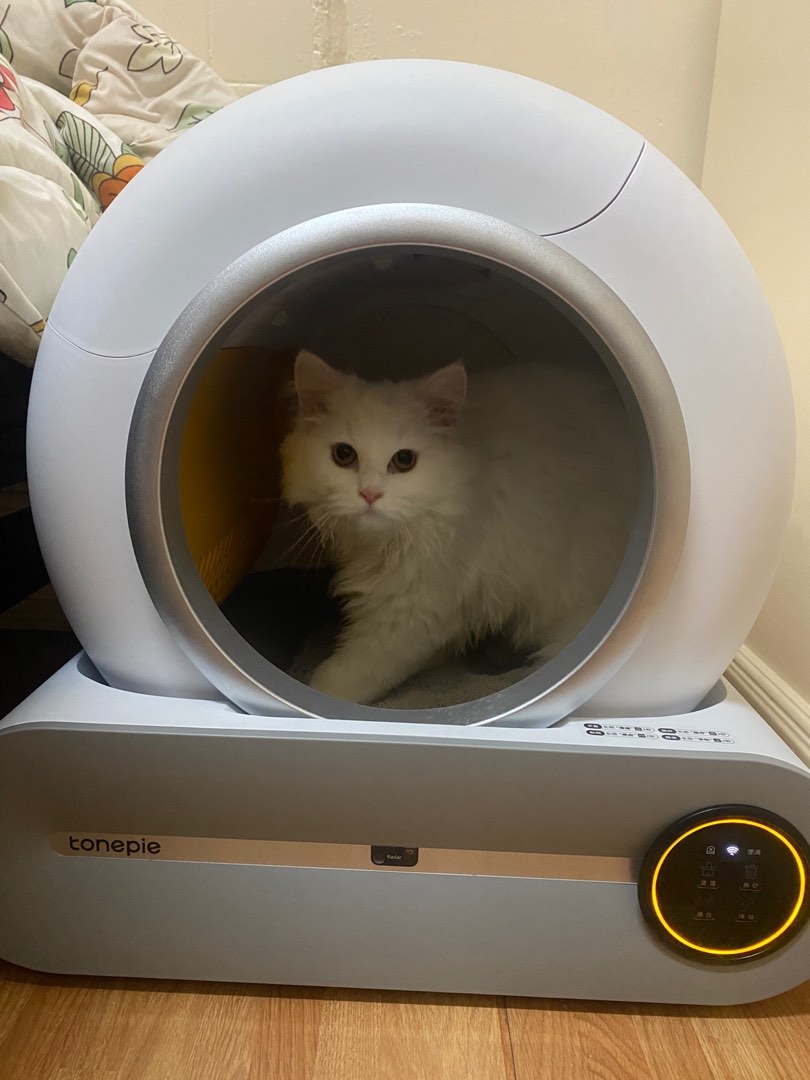 Automatic brand new self cleaning cat litter box, Pet Supplies, Homes