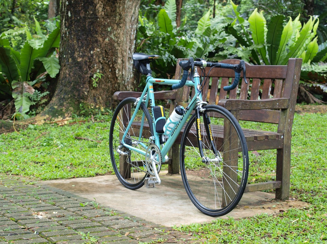 Bianchi Gold Race Team Road Bike Made in Italy Sports Equipment