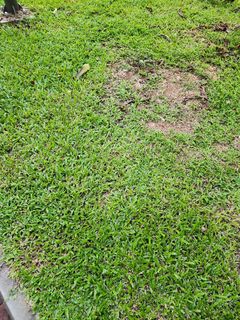 (Category: ) located in . Submitted by azlife (Listing ID 1210050464, Image 1). Description: .