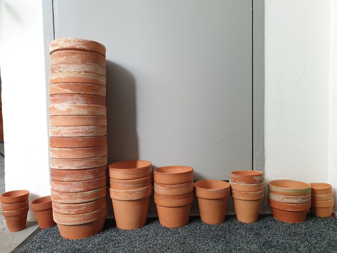 Cheap Terracotta pots, Furniture & Home Living, Gardening, Pots