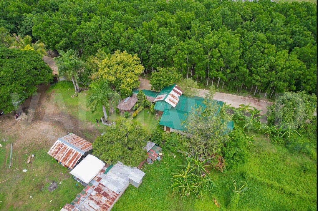 Farm lot in San Ildefonso, Bulacan For Sale, Property, For Sale, Lot on