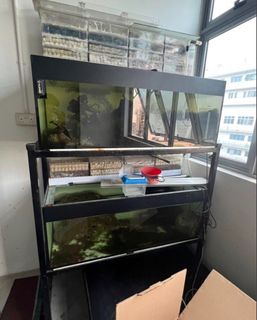 (Category: ) located in . Submitted by ecomannn (Listing ID 1209952319, Image 1). Description: .