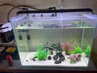 (Category: ) located in . Submitted by james.yo.31 (Listing ID 1209885639, Image 1). Description: .