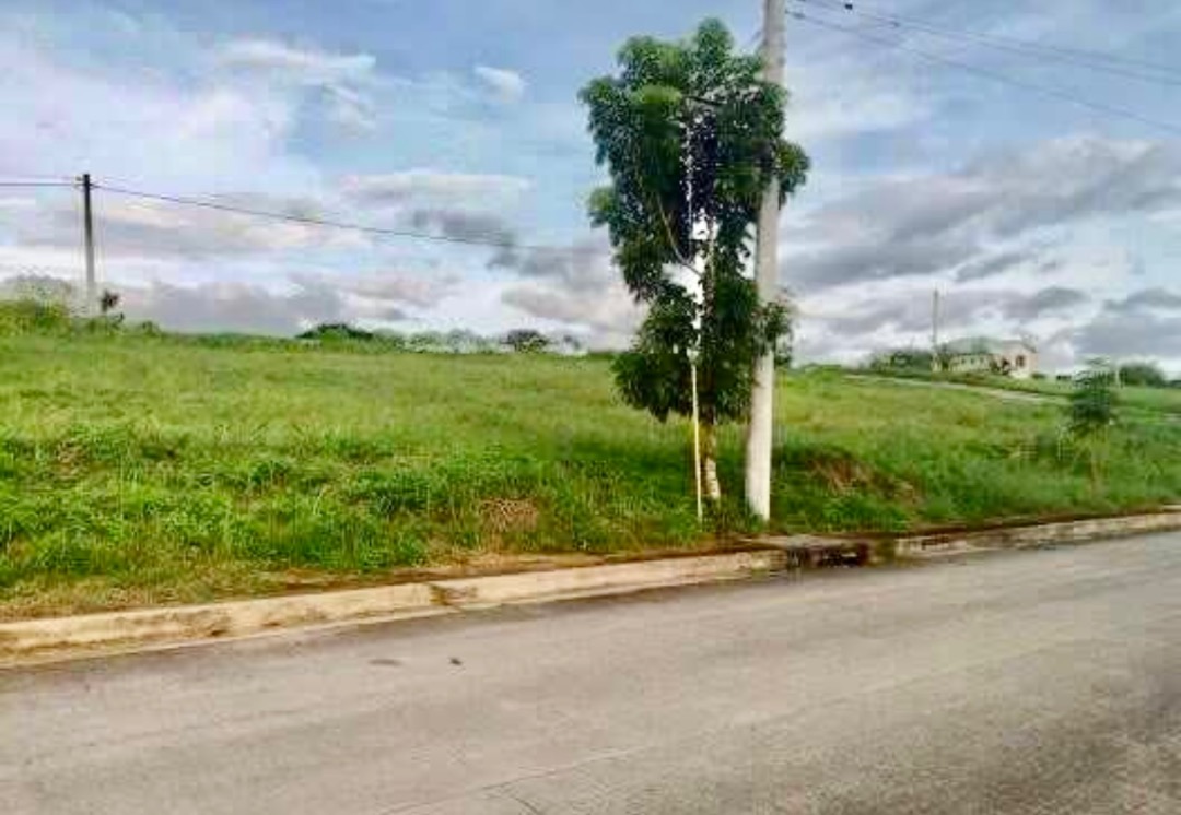 Forbes Park Makati City Residential Lot, Property, For Sale, Lot on