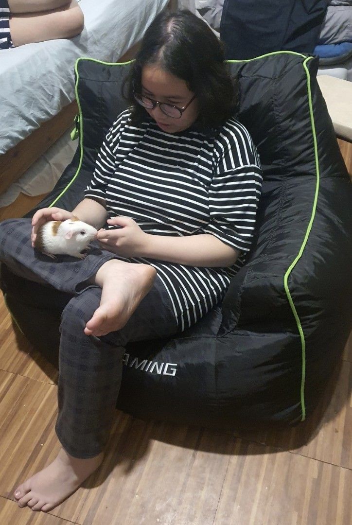 Gamer Bean Bag, Furniture & Home Living, Furniture, Other Home